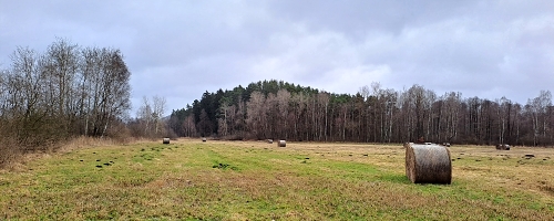 Hrad na Konvalinkov�m vr�ku