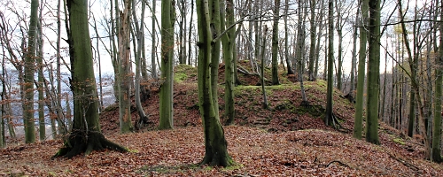 Nezn�m� hrad u Albrechtic