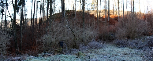 Nezn�m� hrad u Brandova